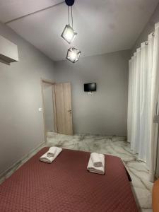 Luxury ground floor apartment