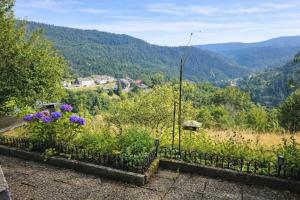 Ferienwohnung Panoramablick Bermersbach