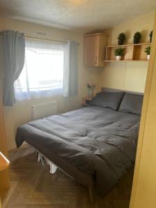 PG175 Ten berth Family Caravan on Golden palm resort chapel st leonards