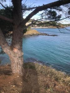 Charmant studio rénové à Llançà, Costa Brava, à deux pas de la mer et de la nature