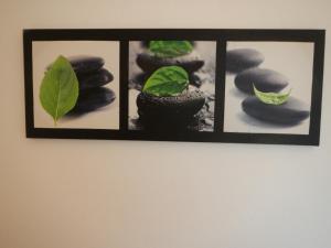 spartiventohome img30
