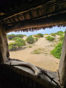Bone Idle, Lamu Beach Home