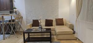 Luxury 2 room Apartments in center