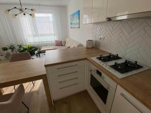 Bratislava, LUCAO Family Apartment, Balcony, Free Parking, Aircondition, 8km Old Town