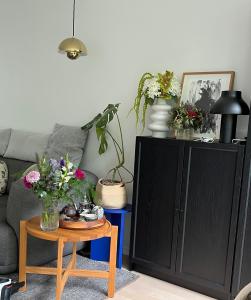 Vejle Riverview Stay with Private Balcony And Free Parking