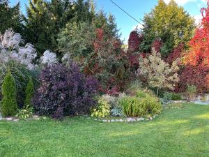 Domek z banią Dybowo