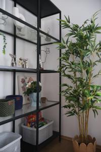 MonteMare - Kuća za odmor