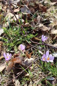 MonteMare - Kuća za odmor