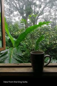 Charming 2-Bedroom House in Downtown Monteverde, Costa Rica