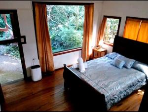 Roots and Wings Spacious House with Forest Views and Private Garden