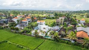 Vista Villa - Rice Field Stay with Pool & Rooftop Lounge