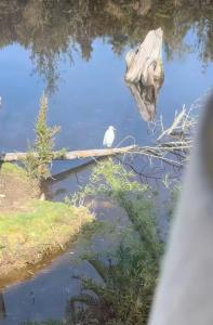 Cabañas Dos Espejos