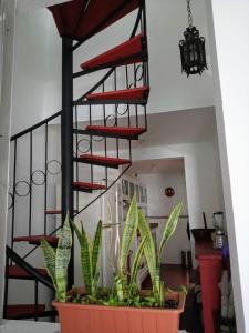 Santa Barbaras Santo Domingos cozy home