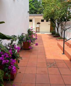 Hotel Villa de las Palmas