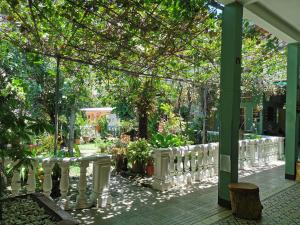 Hotel Villa de las Palmas