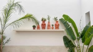 Riad VASAME - Your Exclusive Sanctuary in the Heart of the Medina
