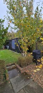Cottage Near Cambridge & Newmarket