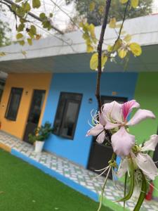 HanaEcoHomestay