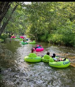 Alpine River Suites #503 - 50s Themed River Condo