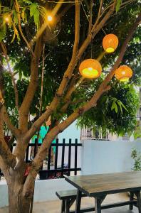 Homestay QUỐC ANH - Vĩnh Hy