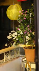 Vietnam Travelers Home 2 with Cozy Private Balcony