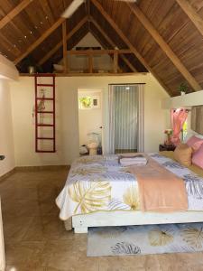 Dreamvilles Ecovillage Bed and Breakfast near Playa Aserradero