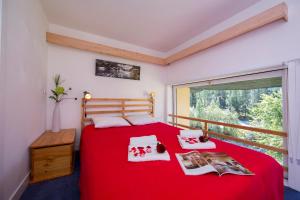 Résidence Grand Roc - Campanules 112 - Happy Rentals