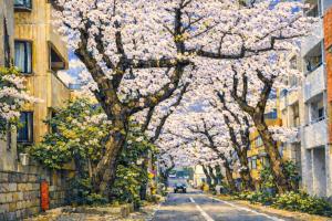 GrAce Room IKEBUKURO