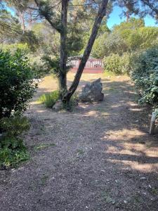 Villa luna img15