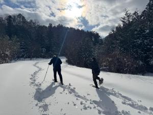 Blue Art Satoyama Retreat