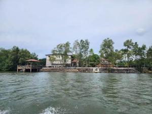 Riverside Homestay Kuala Pontian Rompin - Beautiful River