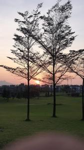 Vaarivana Villas