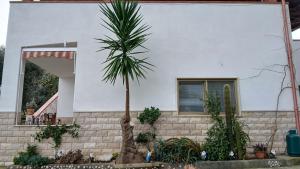 La Casa Del Nonno