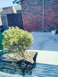 Zambata Self Catering