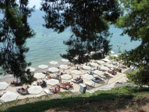 Dimi Apartments