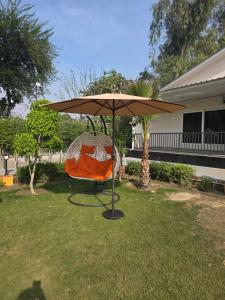 Aurum Luxe Farms