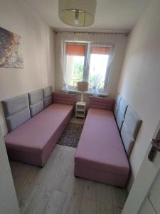 Apartament w Lądku Zdroju przy Rynku