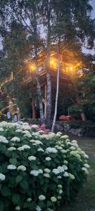 Casa sullalbero La Quiete in Piemonte