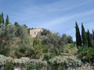 Podere Croci, 400yr Monastery Villa, Pool, 16 Guests