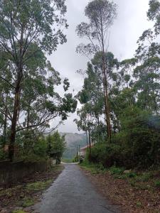 Misty Hills