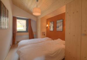 Orion 309 au centre a Anzere avec vue sur les Alpes