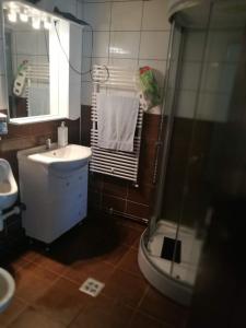 Cabana Lenuța, 8 bedrooms, Sleeps 19, HotTub