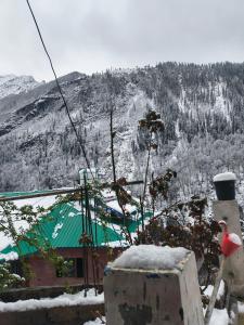 Happys Valley View Tosh