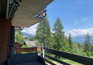 Edelweiss F 805 a Anzere avec vue sur les Alpes