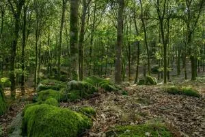 Isatour Casa na Serra - Queira