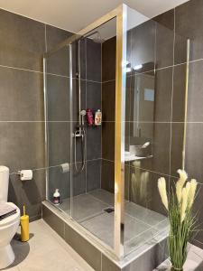 GEMP - Spacious central aparments