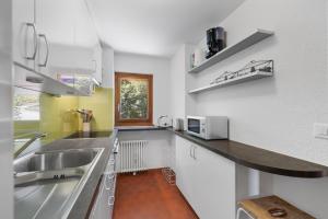 Appartement Veranoncelle 1 er a Anzere avec terrasse ensoleillee