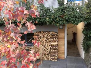 Apartman Spa & Wellness Apartment Gerda Grinzens Ausztria