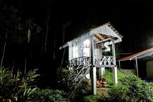 Jungle Greens Homestay - 150Y Old Coffee Estate, Home Food, Jungle Safari