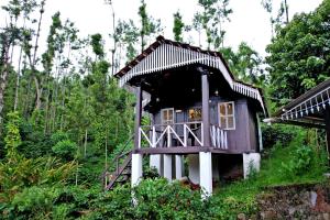 Jungle Greens Homestay - 150Y Old Coffee Estate, Home Food, Jungle Safari